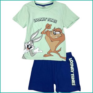 Looney Tunes Boys Shorts Set - Green Blue