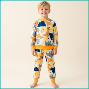 Cute Animals Boys Winter Training Suit - Yellow
